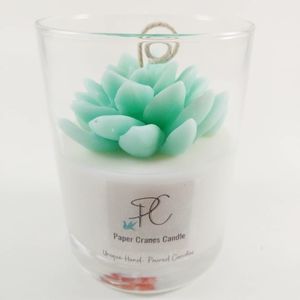 Succulent candles soy wax perfect gift